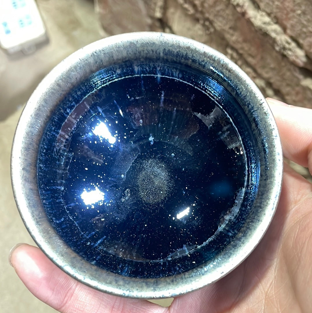Zhu quimin 11.1