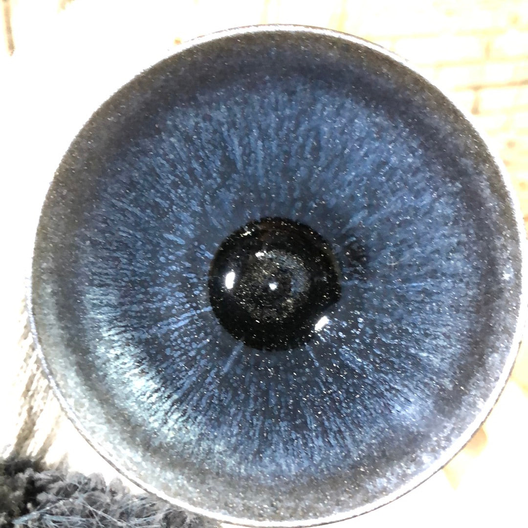 Zhu Qiuming12.3