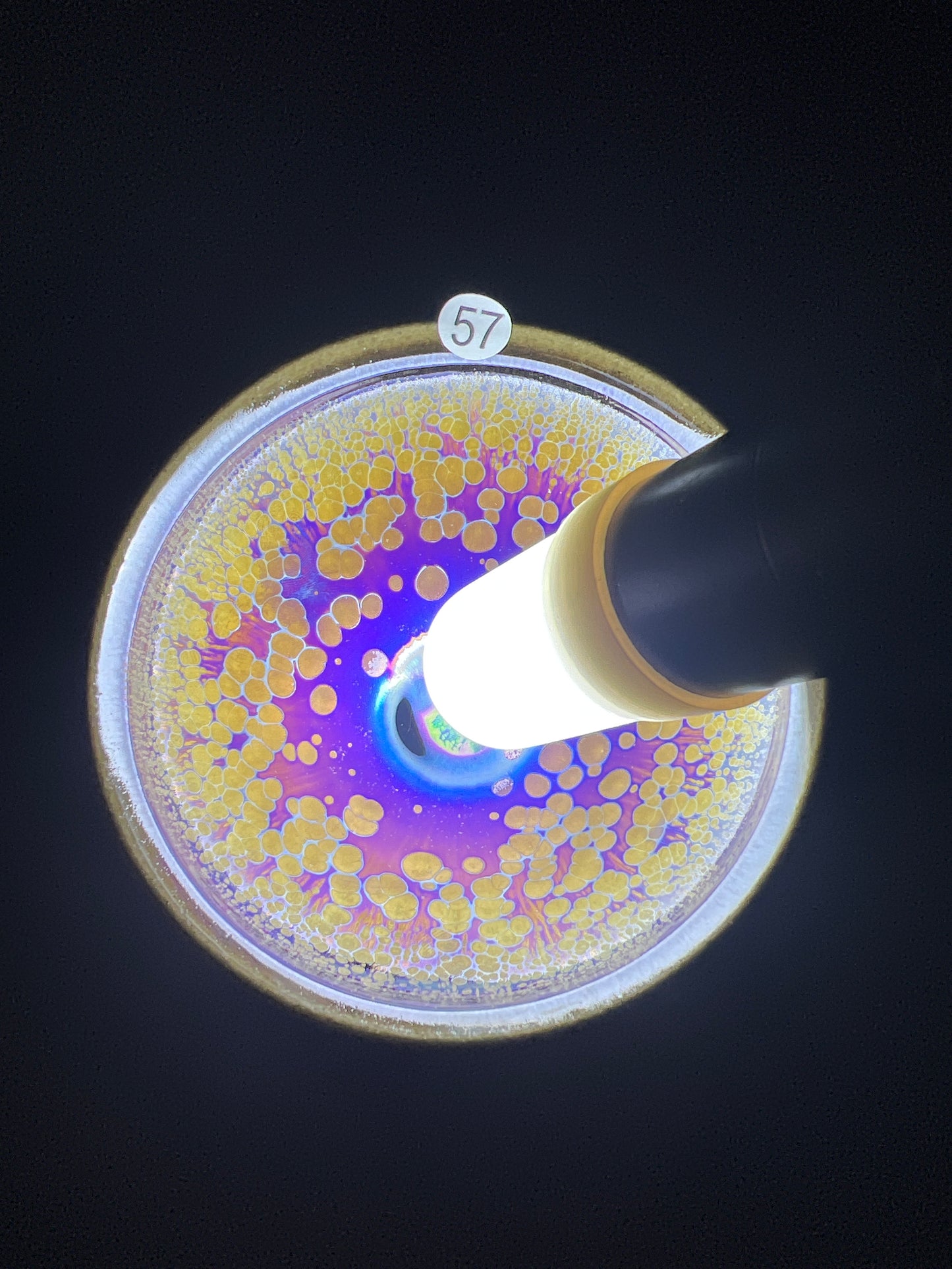 2025-1-21-Liu