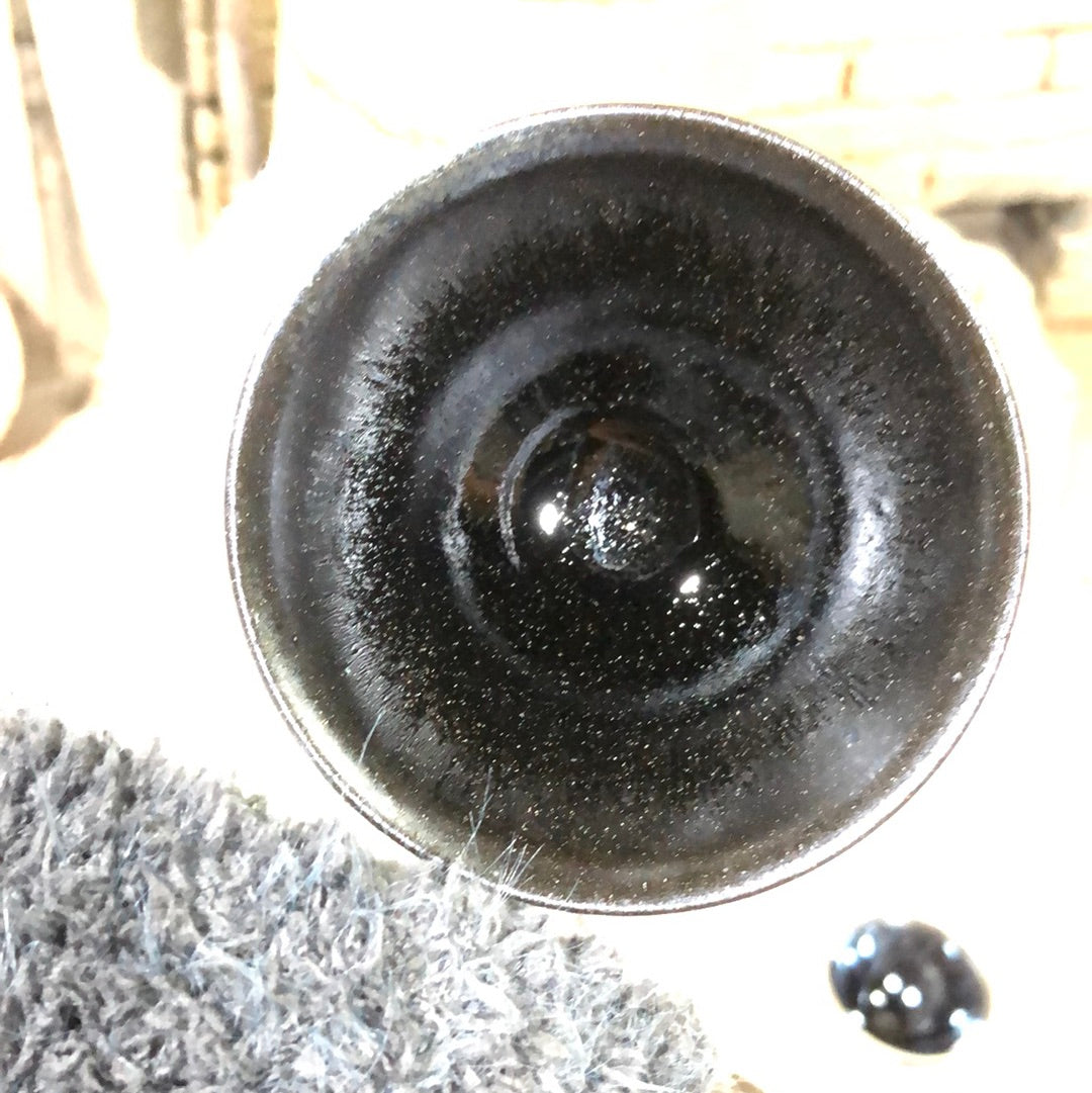 Zhu Qiuming12.3