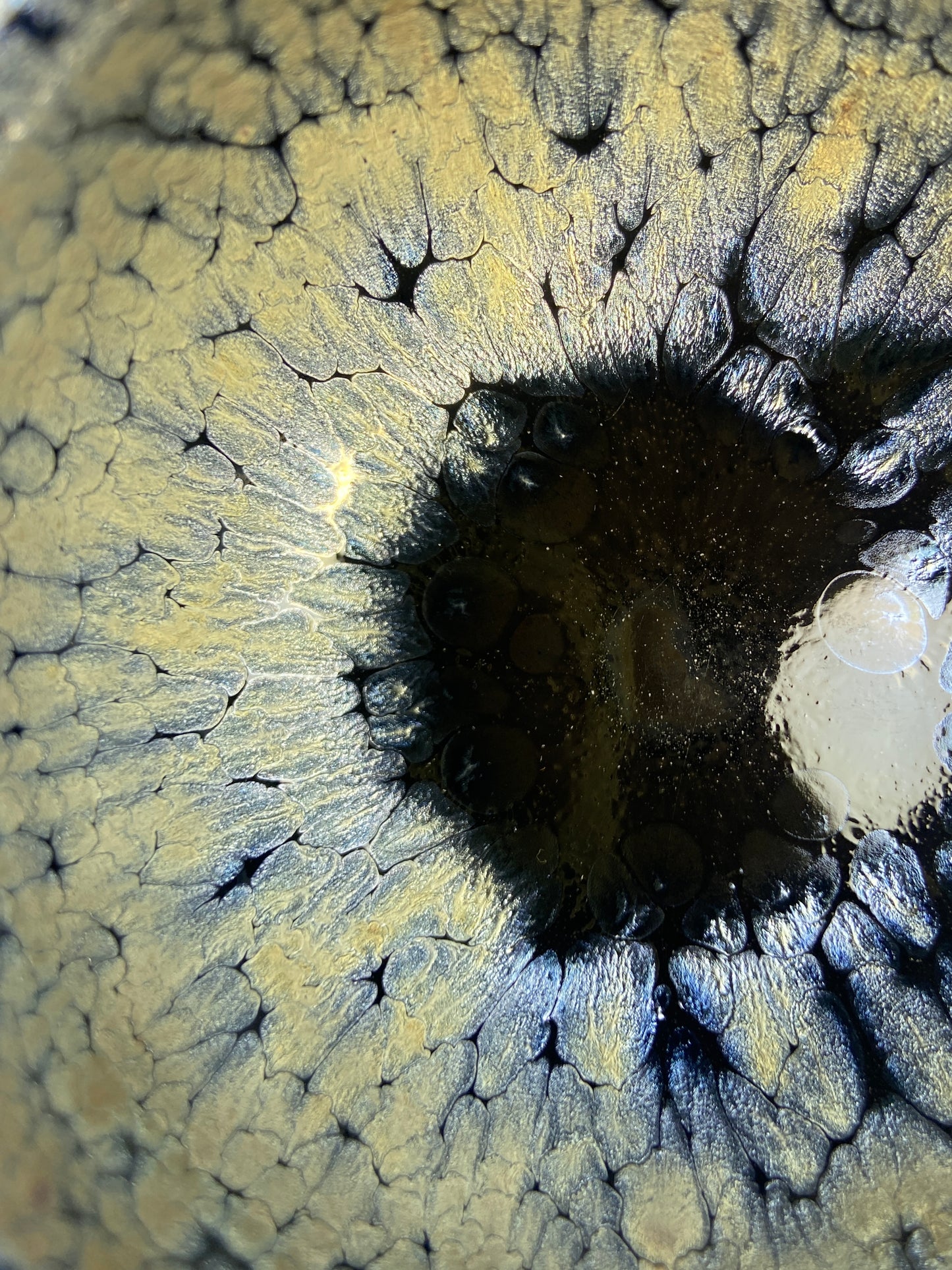 Aquarius - Blue Oil Droplets
