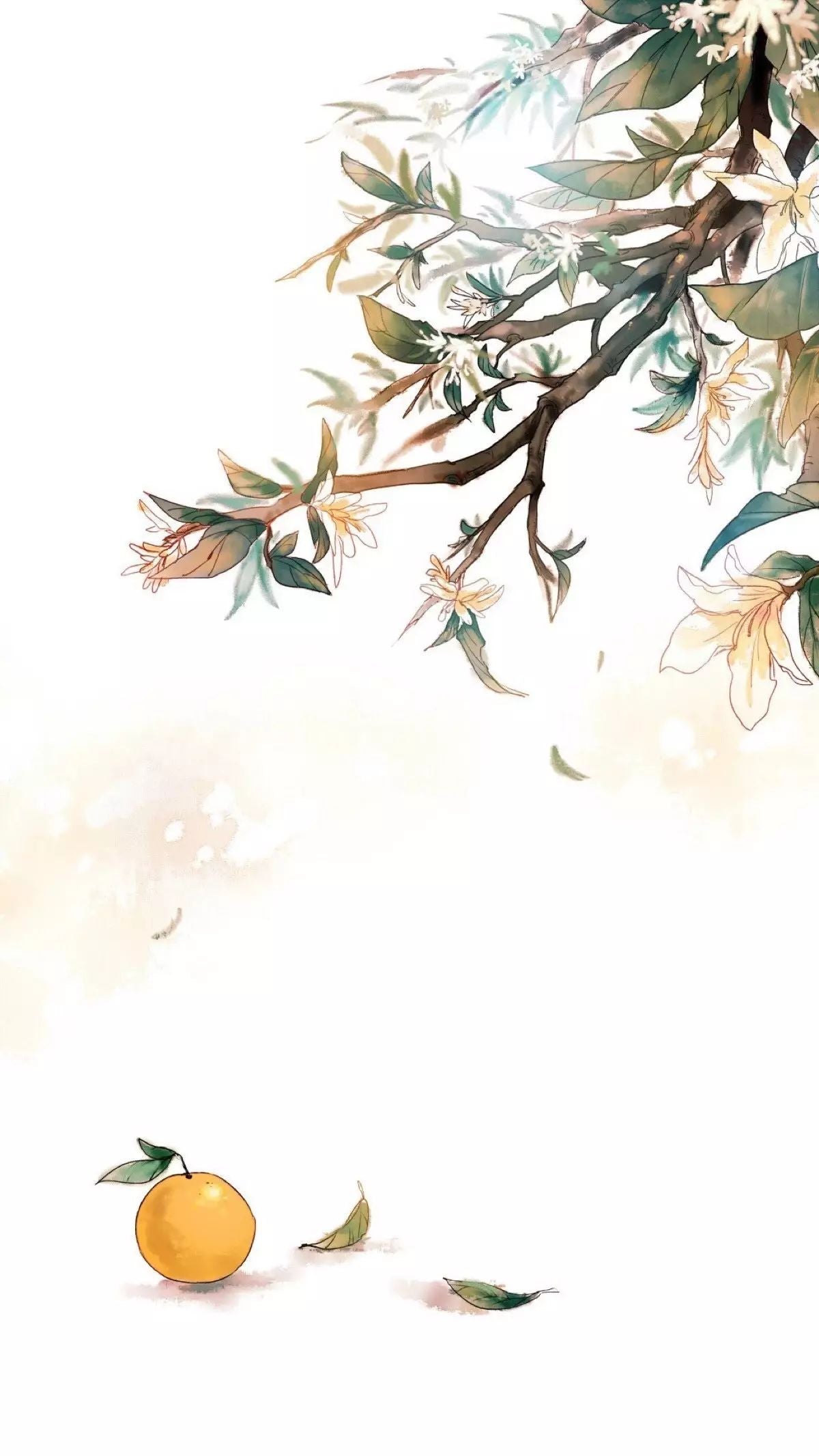 2025-7-31 Yanshanshui