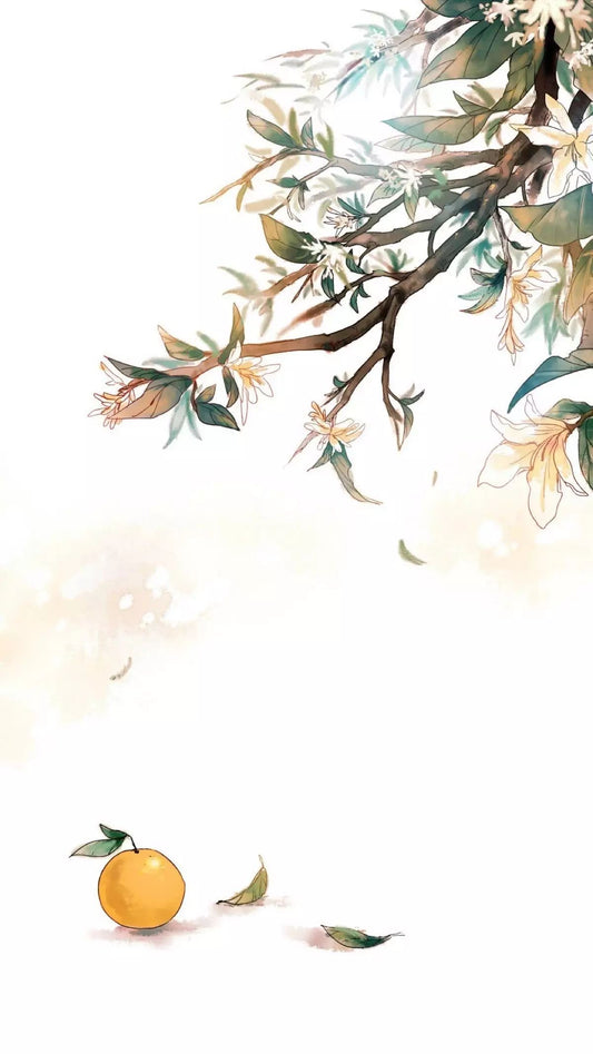 2025-7-31 Yanshanshui