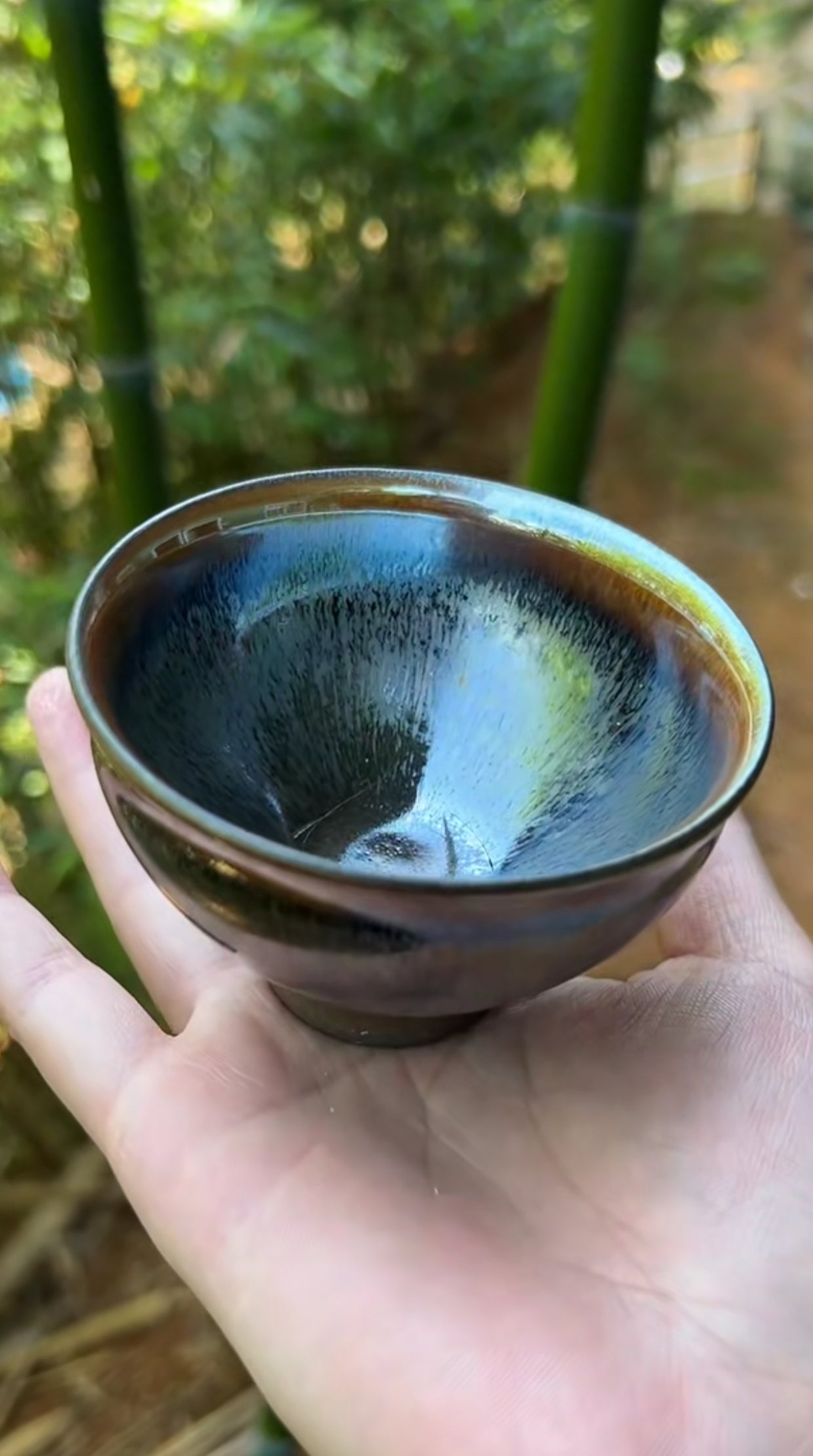 2025-5-13 Master Bai