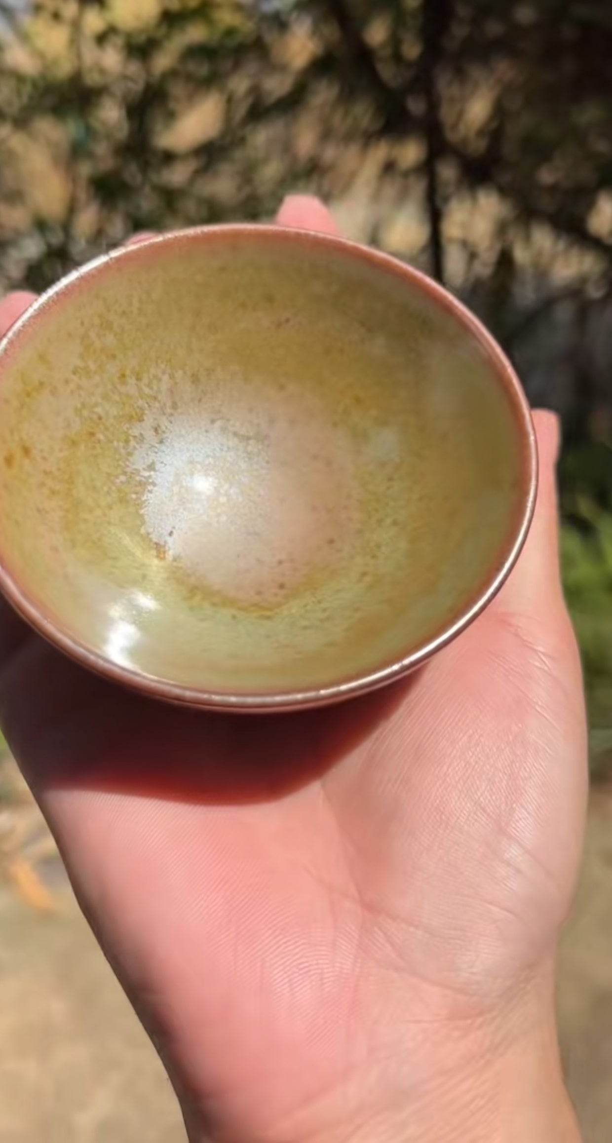 2025-5-13 Master Bai