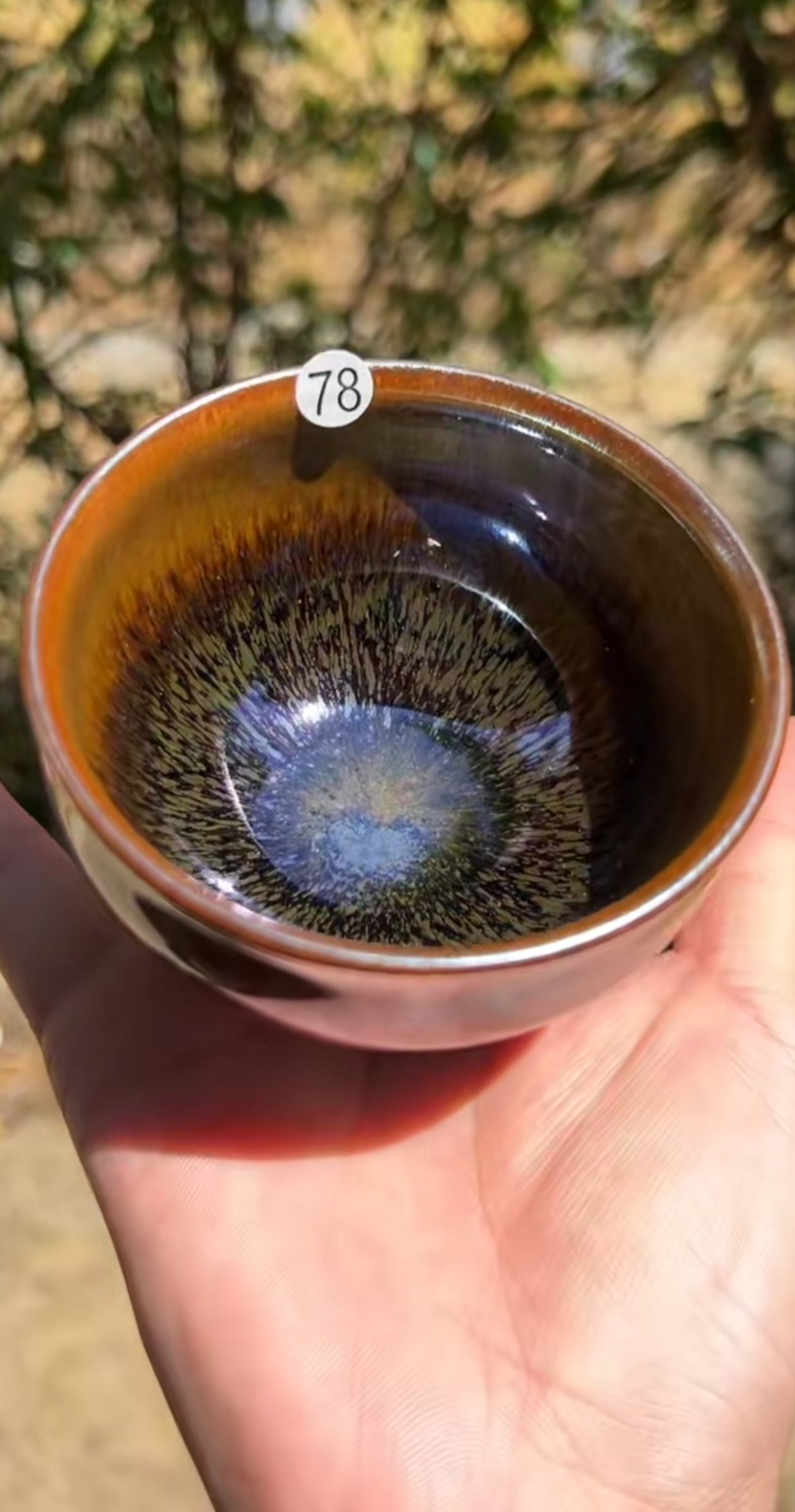 2025-5-13 Master Bai