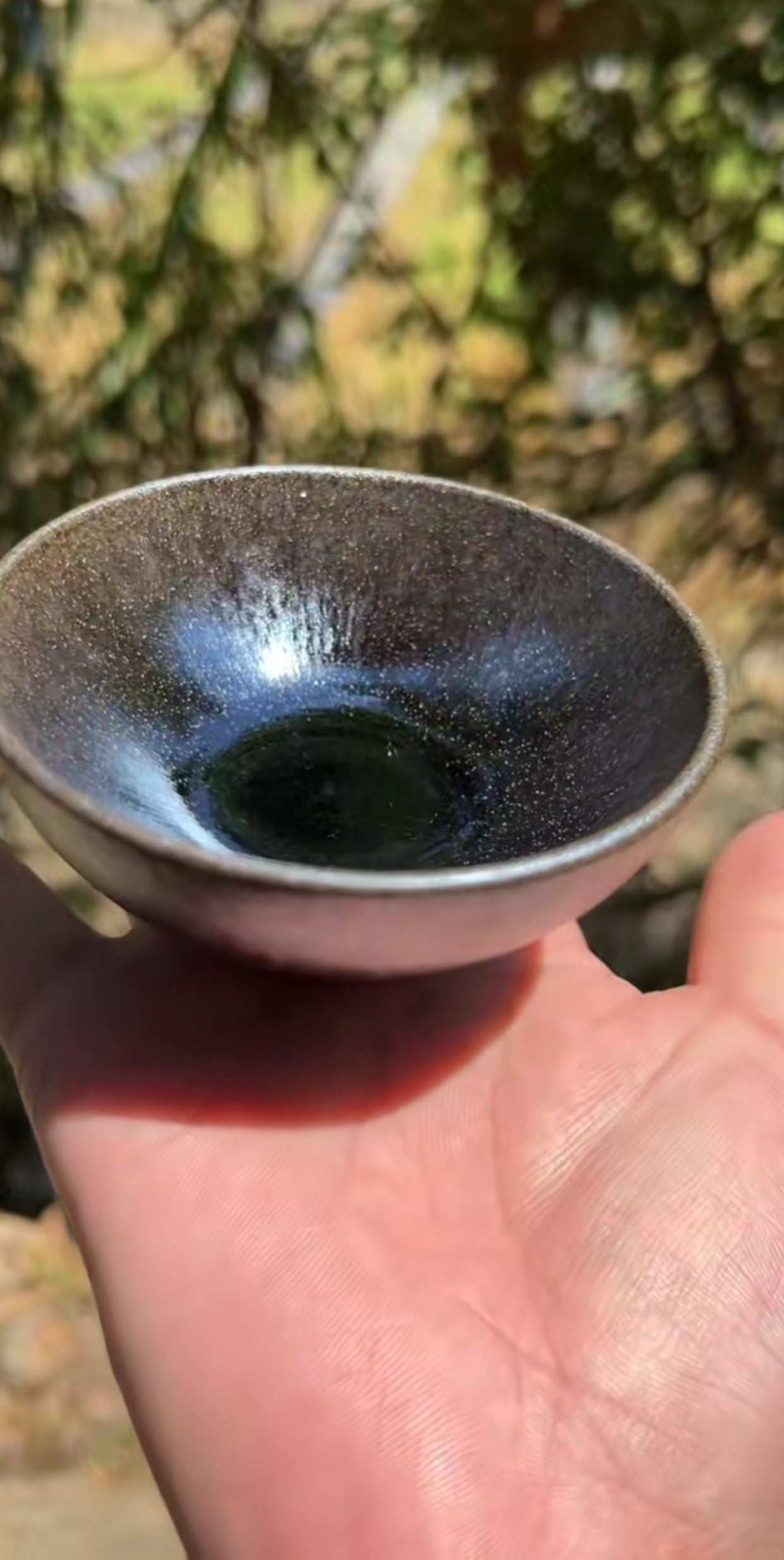 2025-5-13 Master Bai