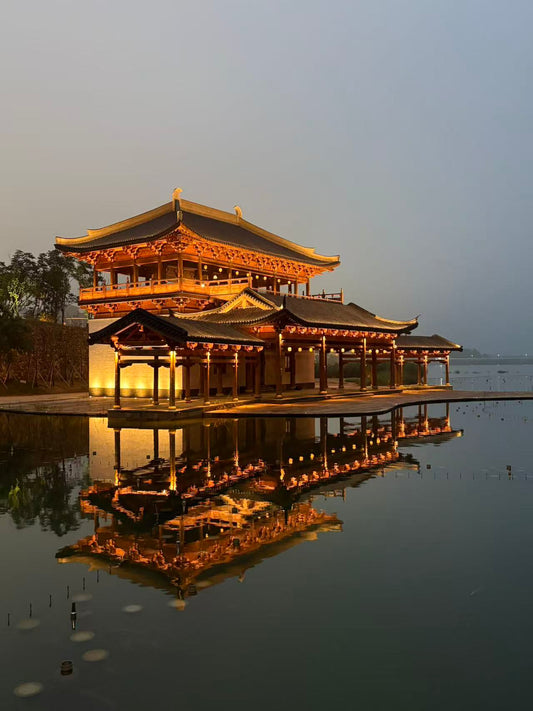 2025.11.10 Master. DNK