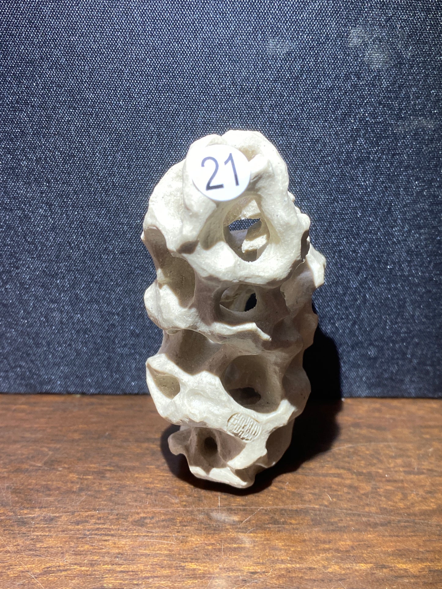 2025-7-22  Master Huang