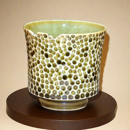 Coca Cola Cup