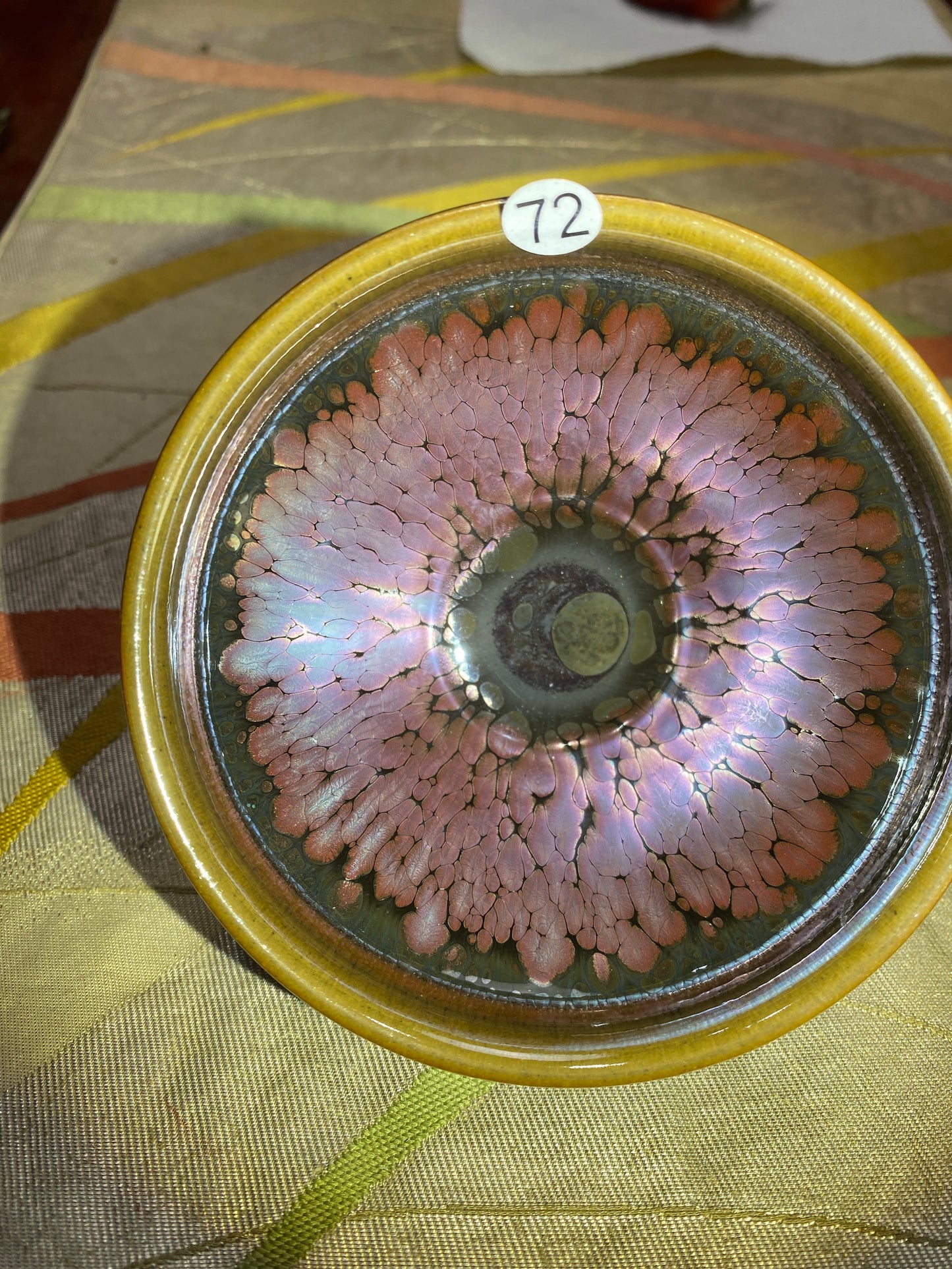 2026.3.15 master  pan