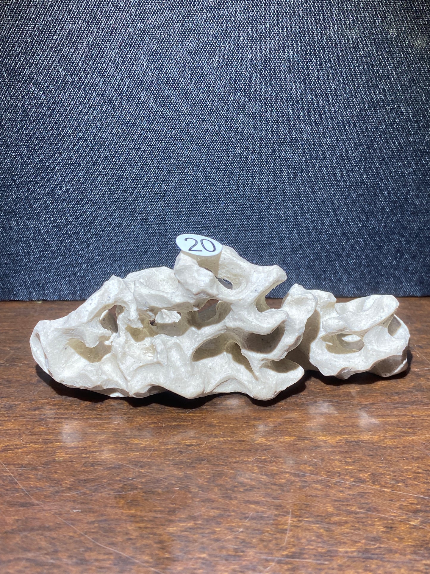 2025-7-22  Master Huang