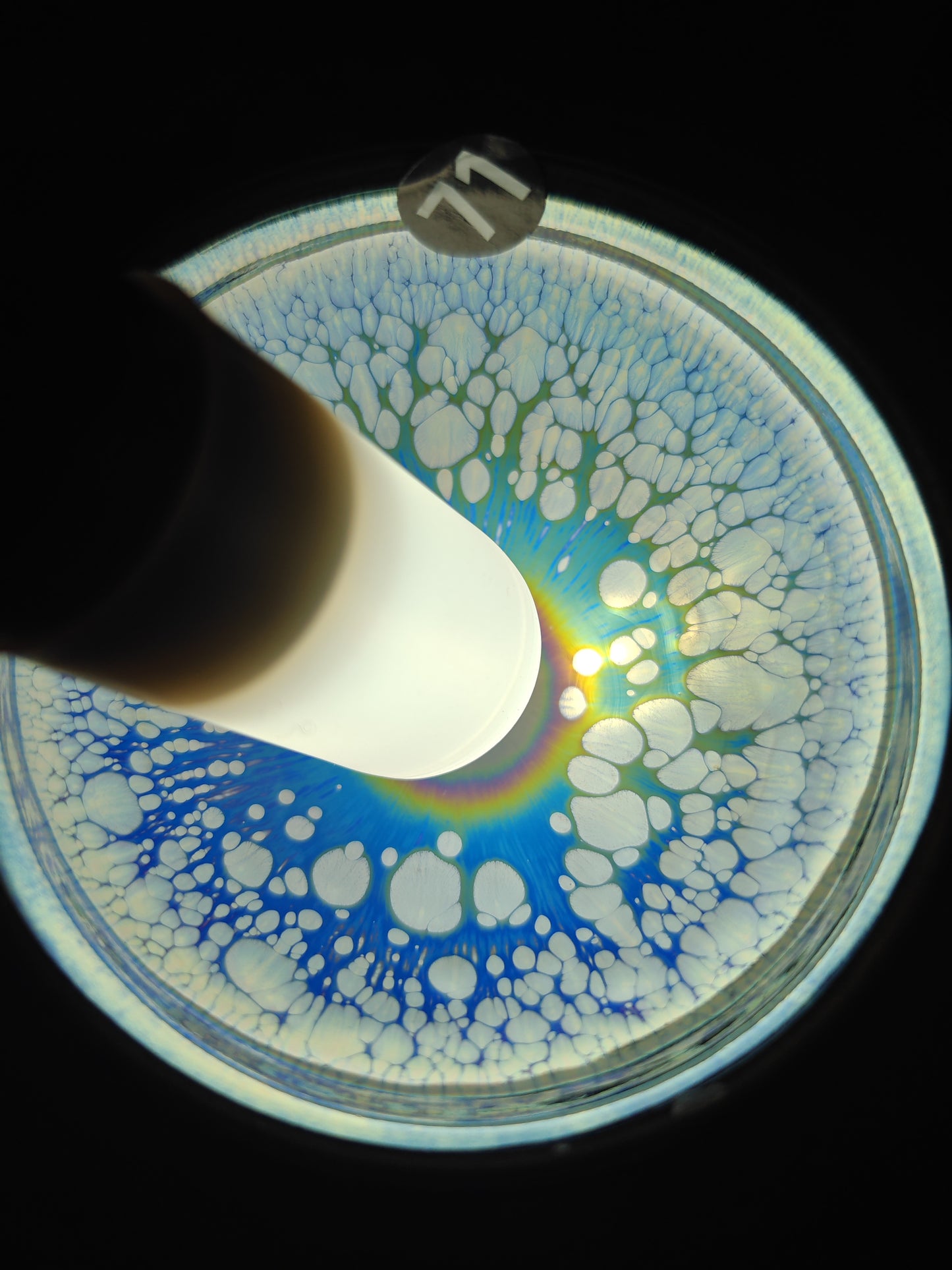 2025-6-20-Master NMY