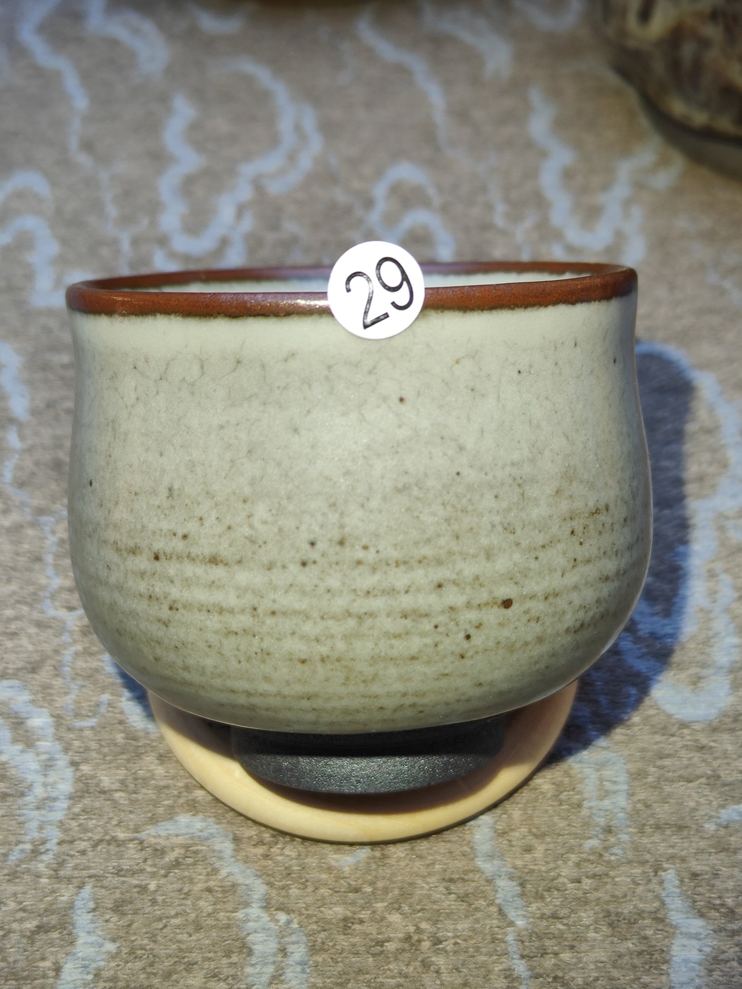 2025-6-11 Master Lin