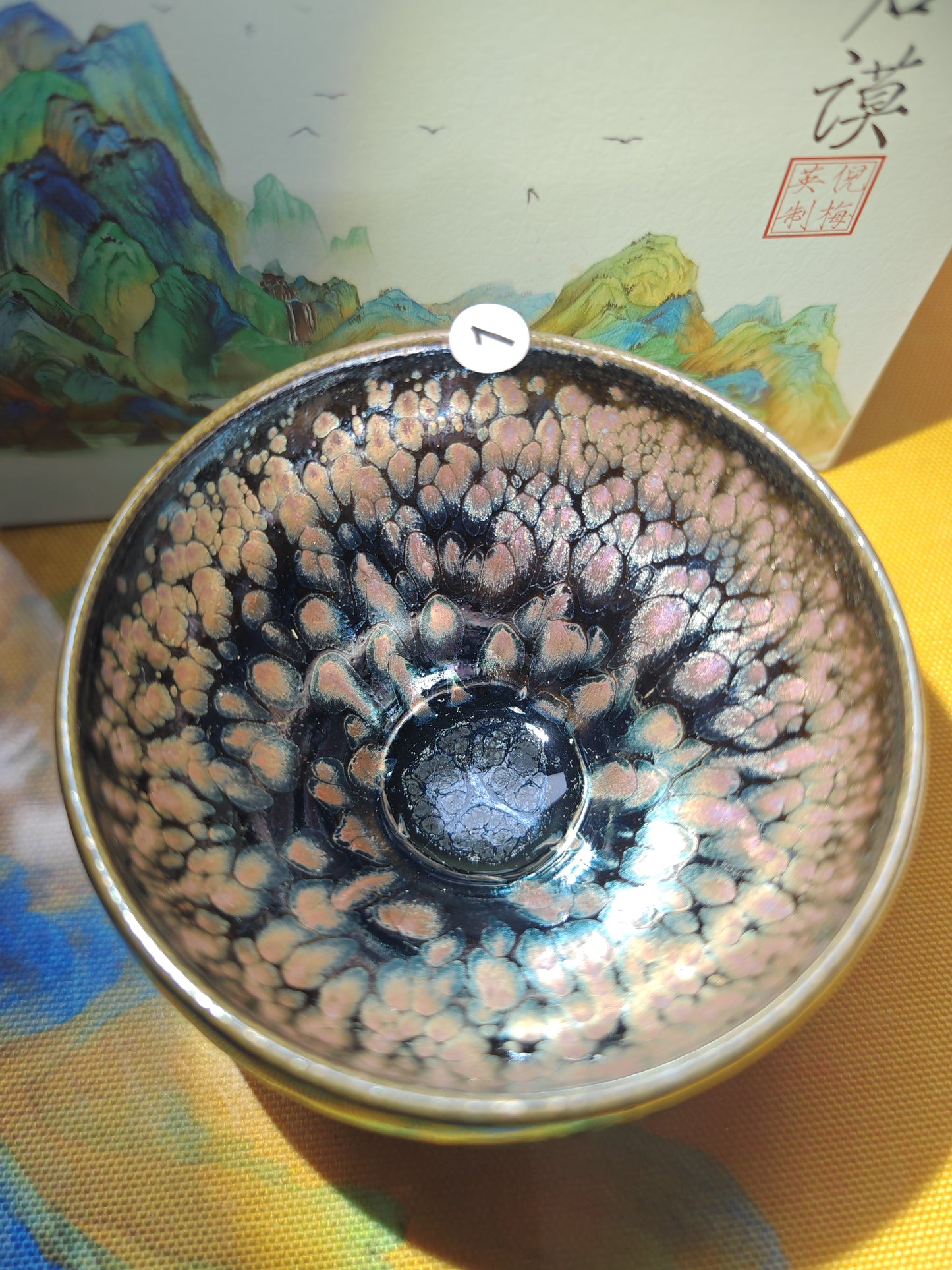 2025-6-20-Master NMY