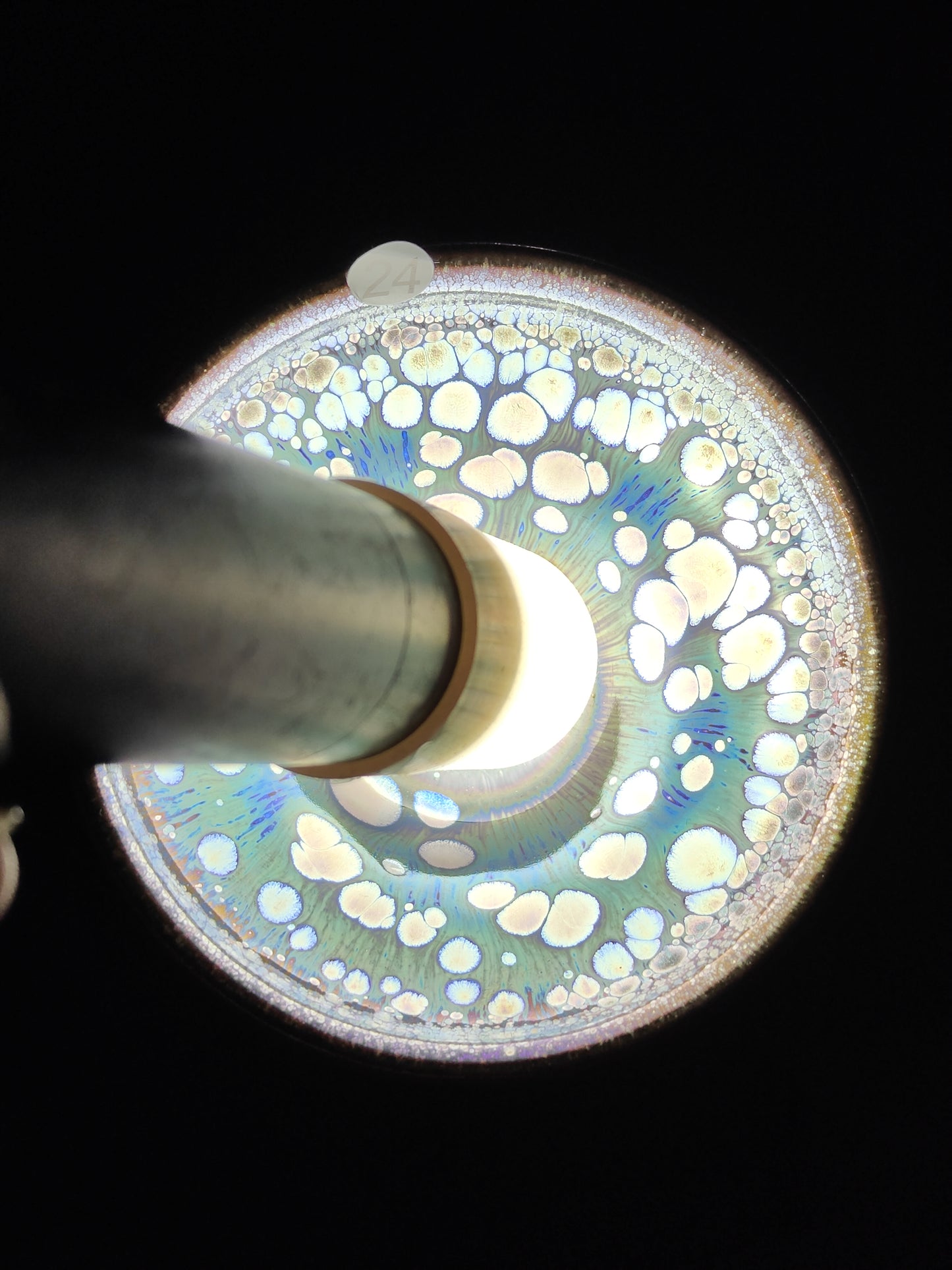 2025-6-10 Master Sun