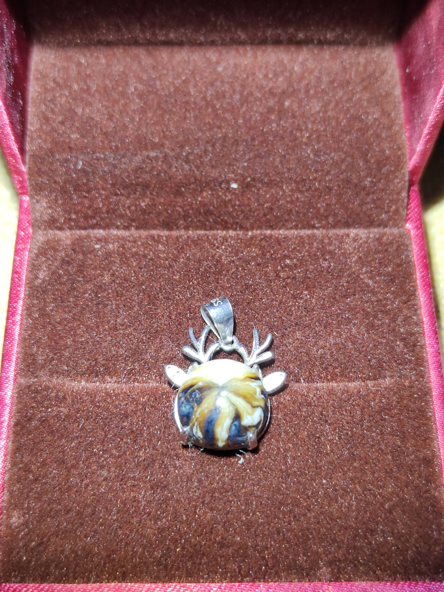 2025-5-27 Master Xie