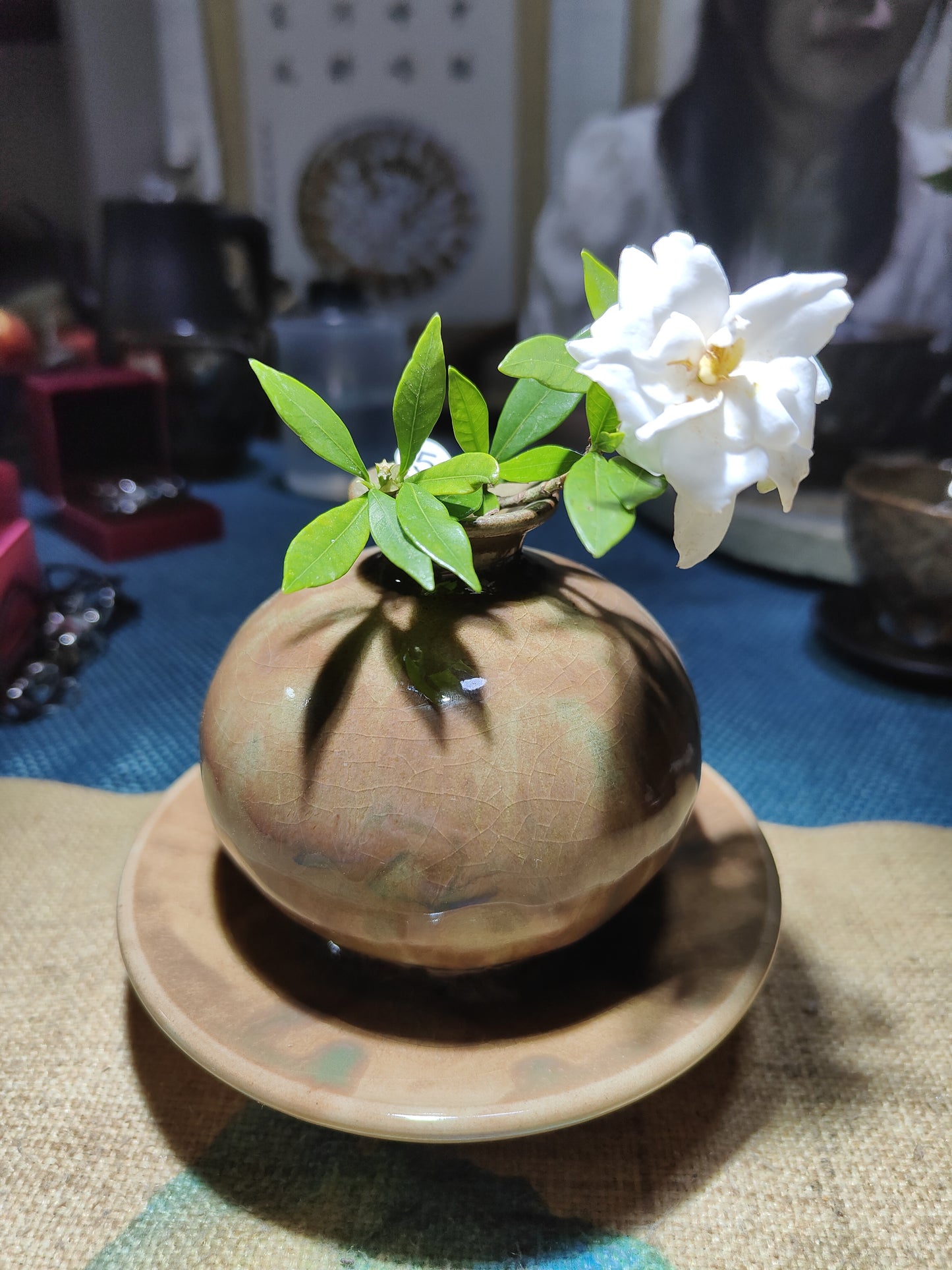 2025-5-27 Master Xie