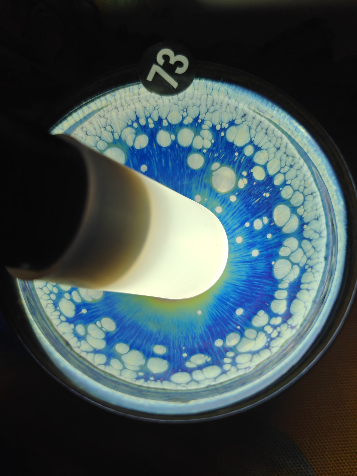 2025-6-20-Master NMY