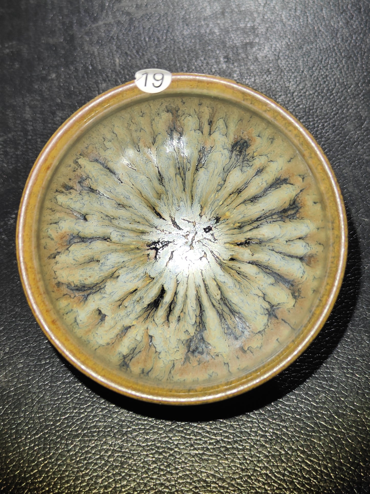 2025-5-2 Anna.Welfare day