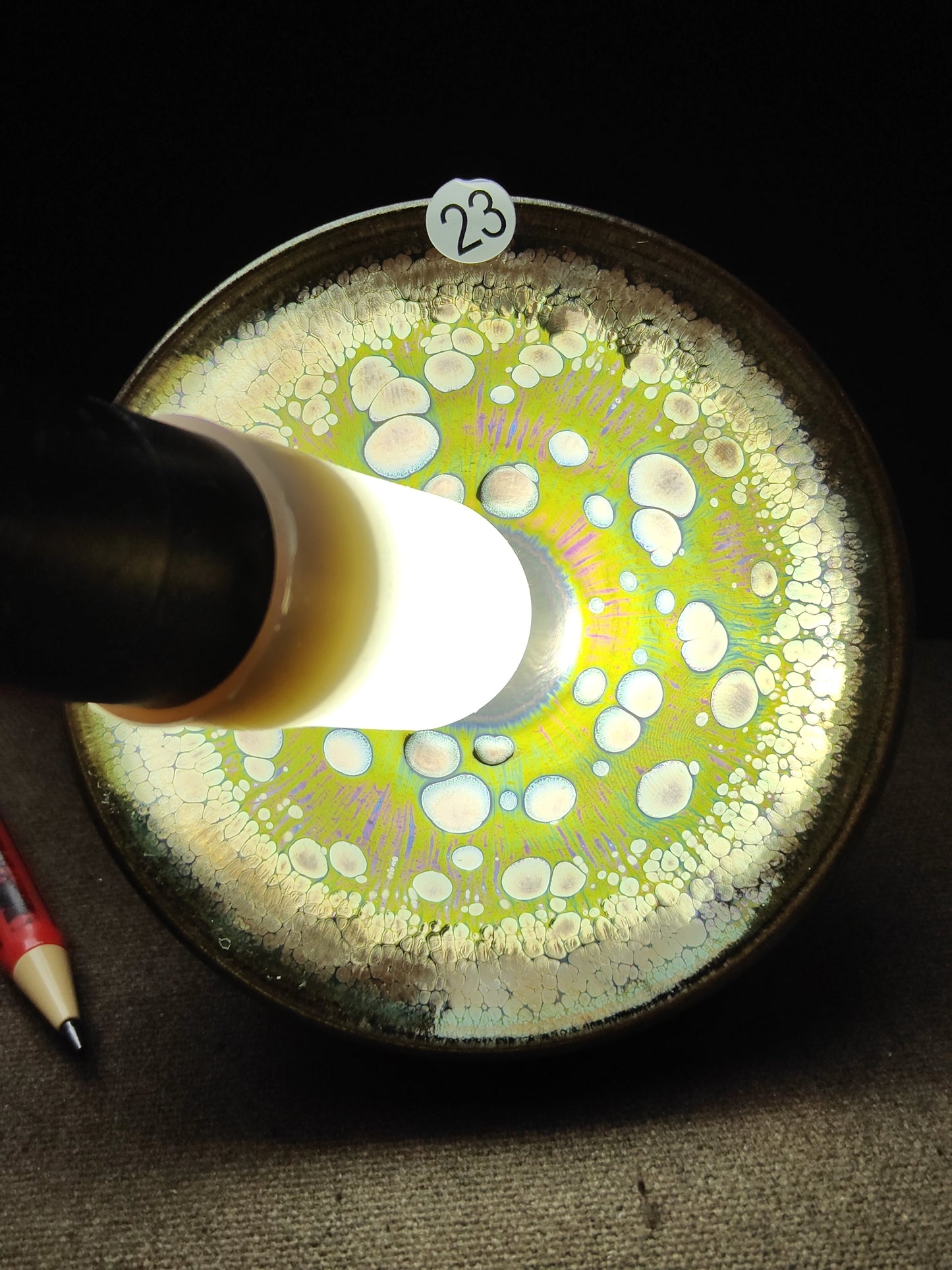 2025-6-10 Master Sun