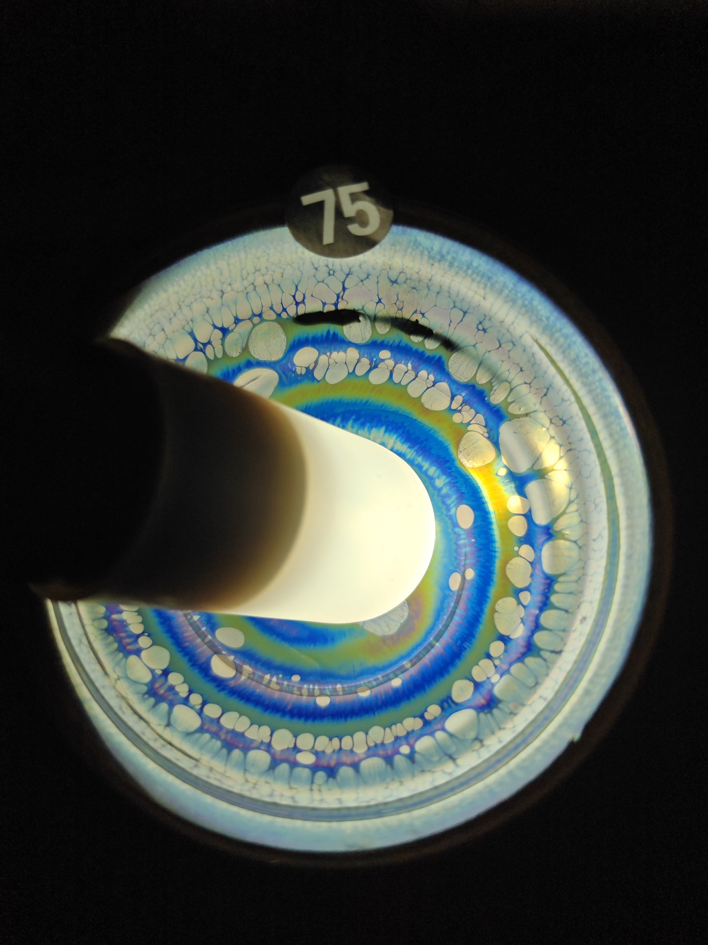 2025-6-20-Master NMY