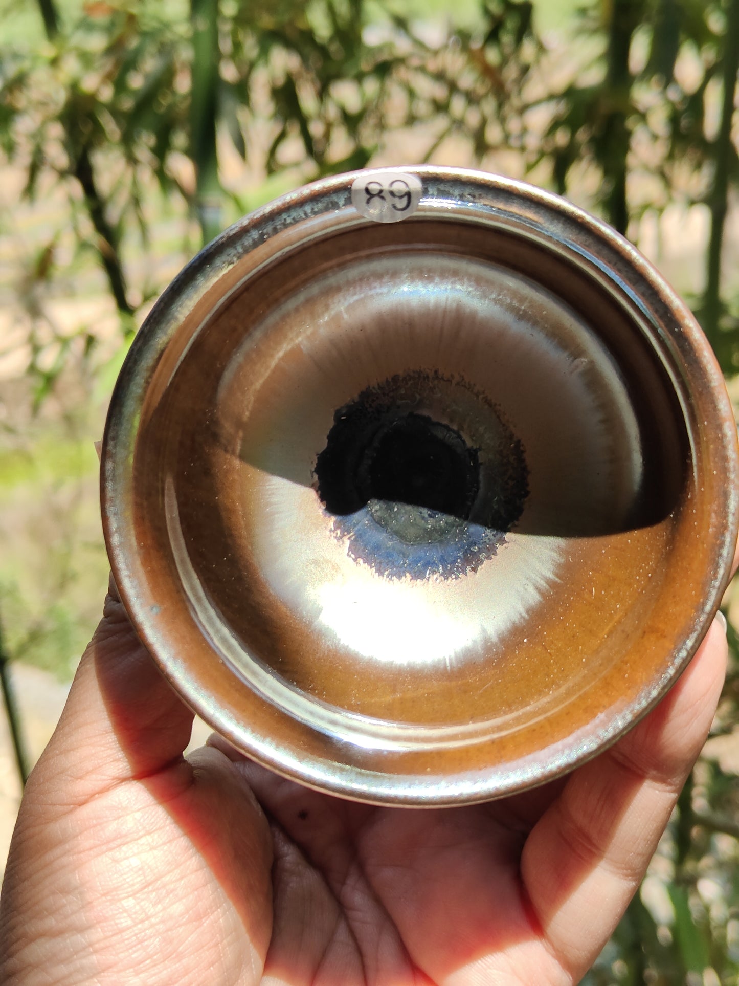 2025-5-13 Master Bai