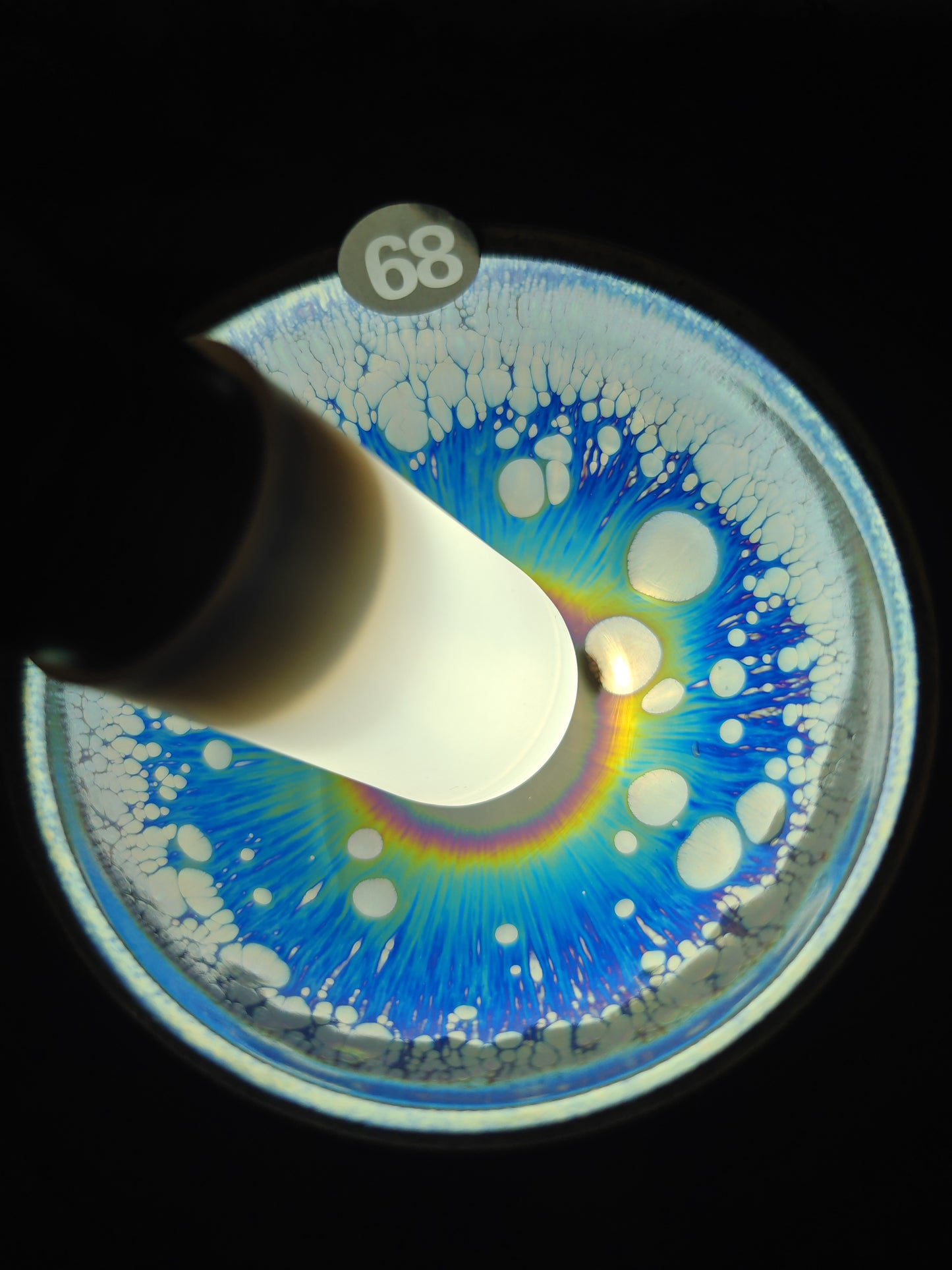 2025-6-20-Master NMY