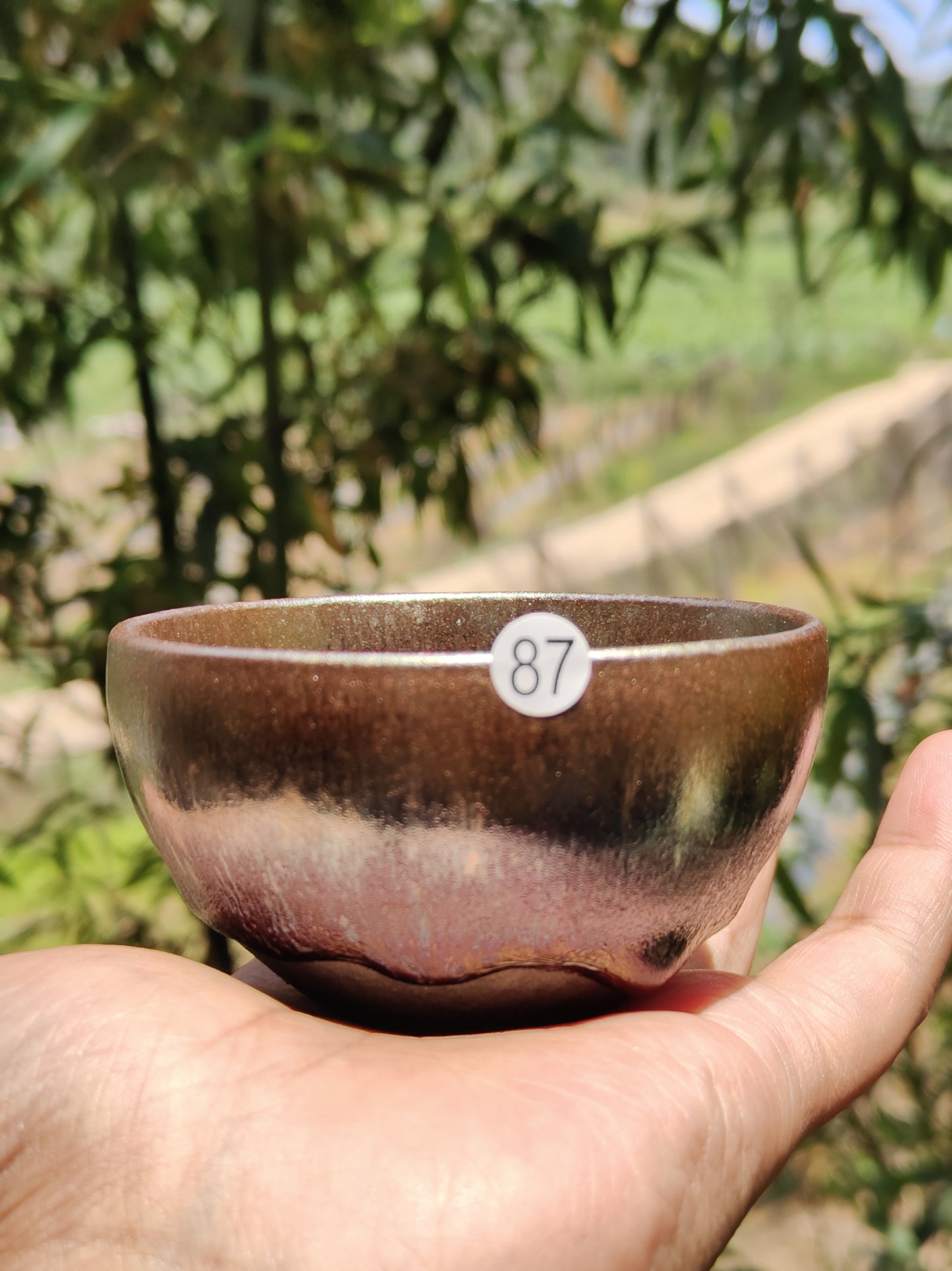 2025-5-13 Master Bai