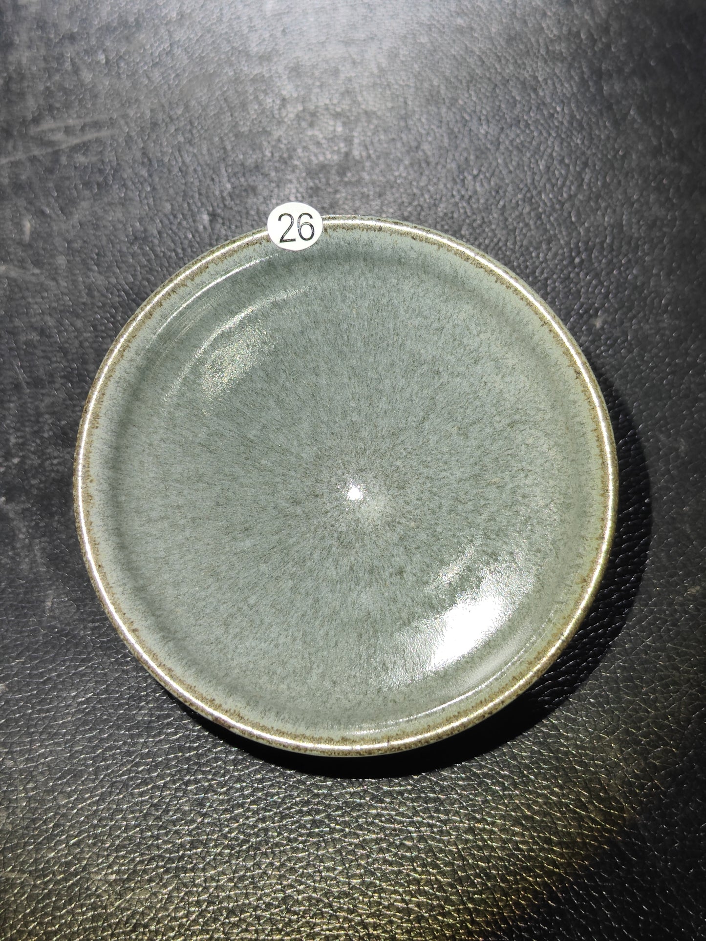 2025-5-2 Anna.Welfare day