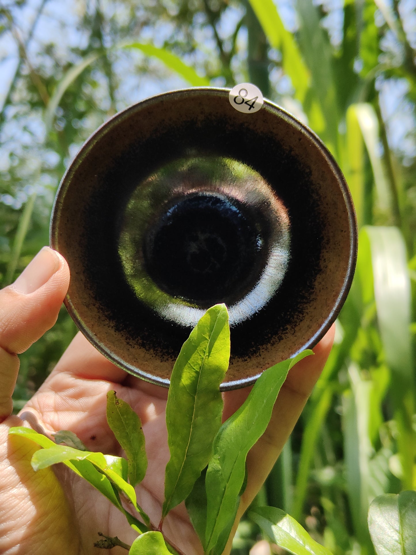 2025-5-13 Master Bai