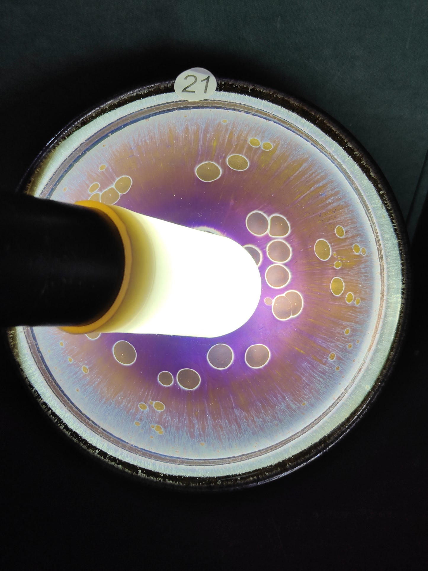 2025-7-17 Master Luo