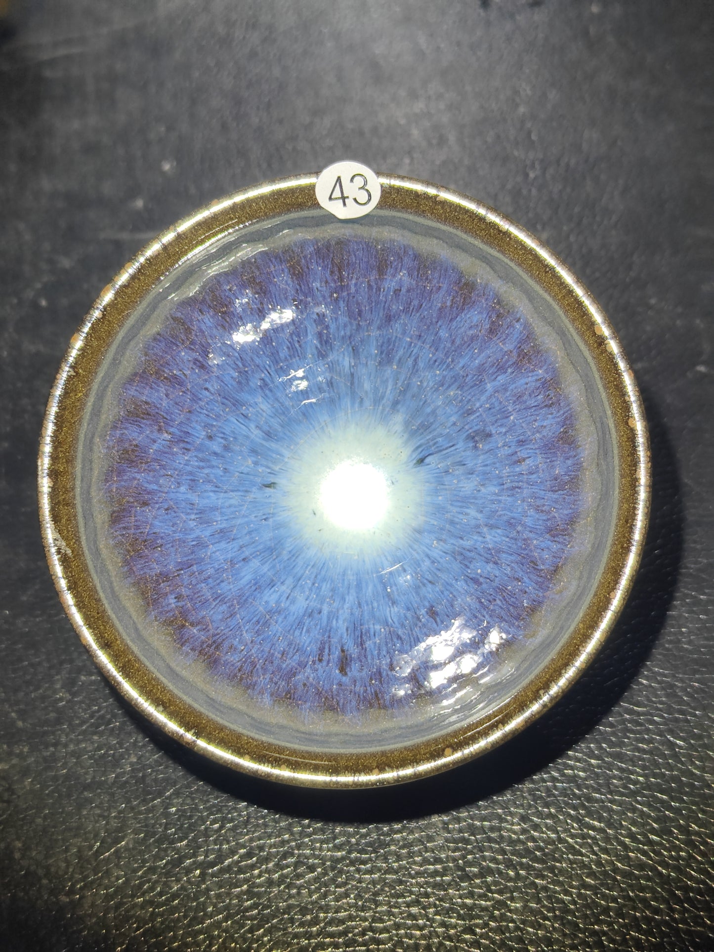 2025-5-2 Anna.Welfare day