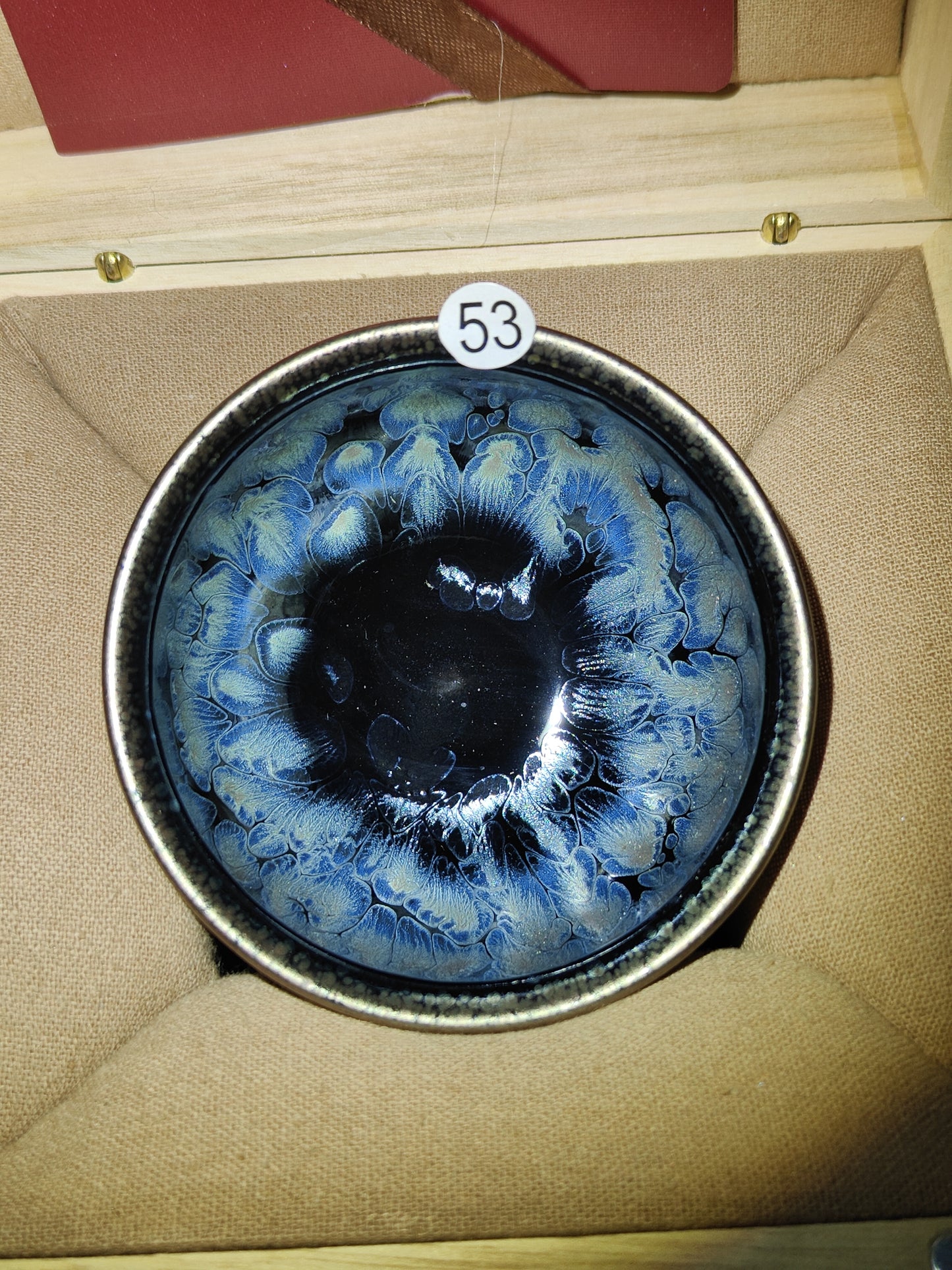 2025-5-2 Anna.Welfare day