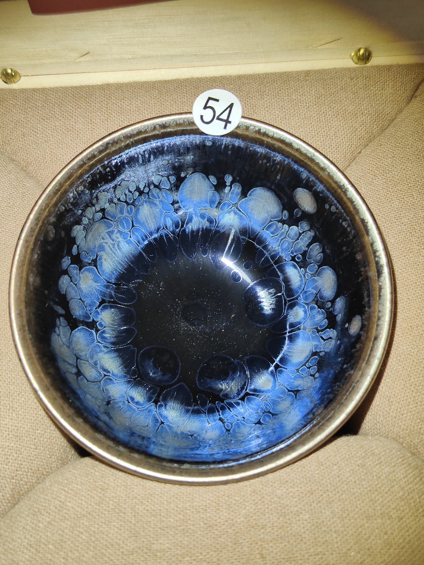 2025-5-2 Anna.Welfare day