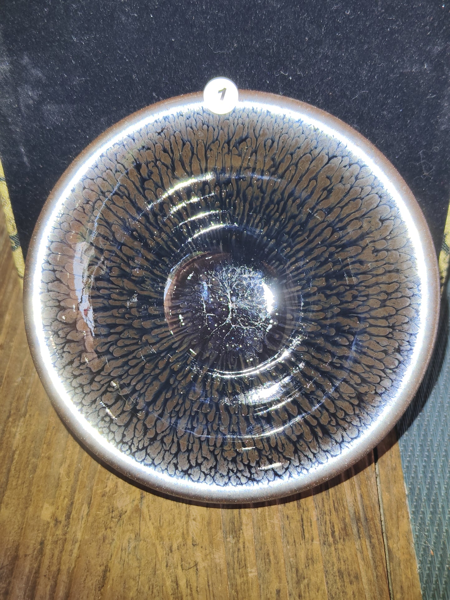 2025-5-15 Master Yang