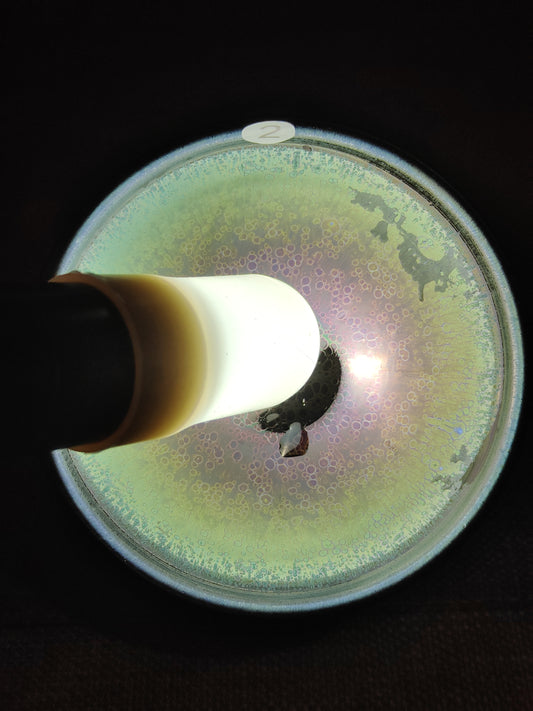 2025-7-11  Master Zhou