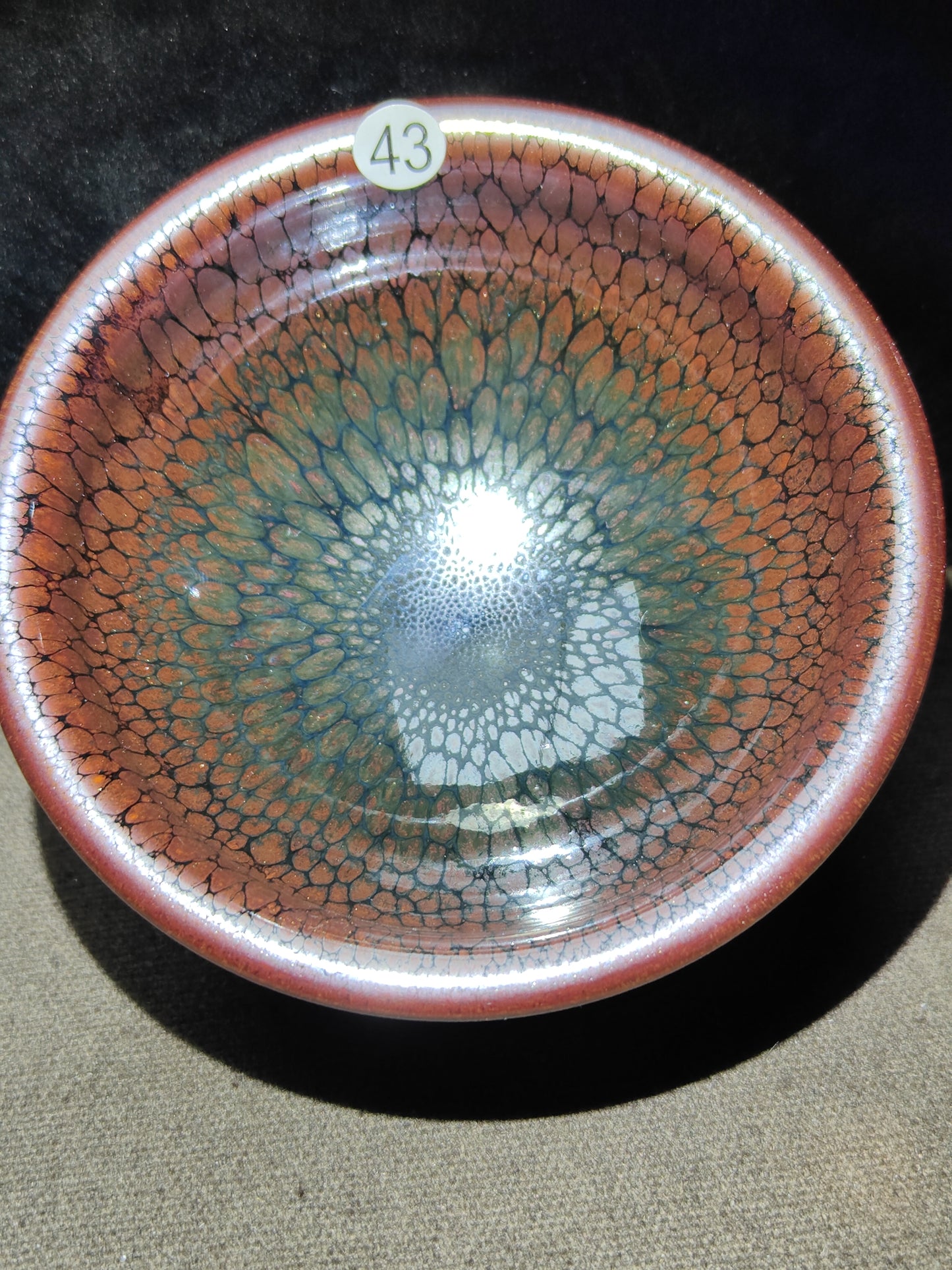 2025-6-10 Master Sun