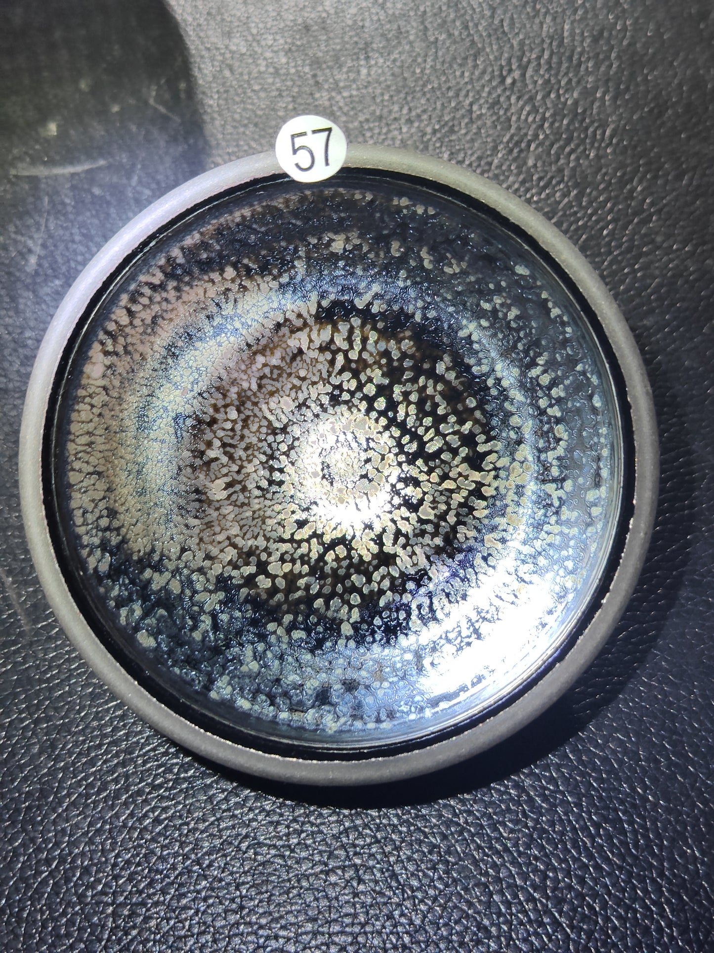 2025-5-2 Anna.Welfare day