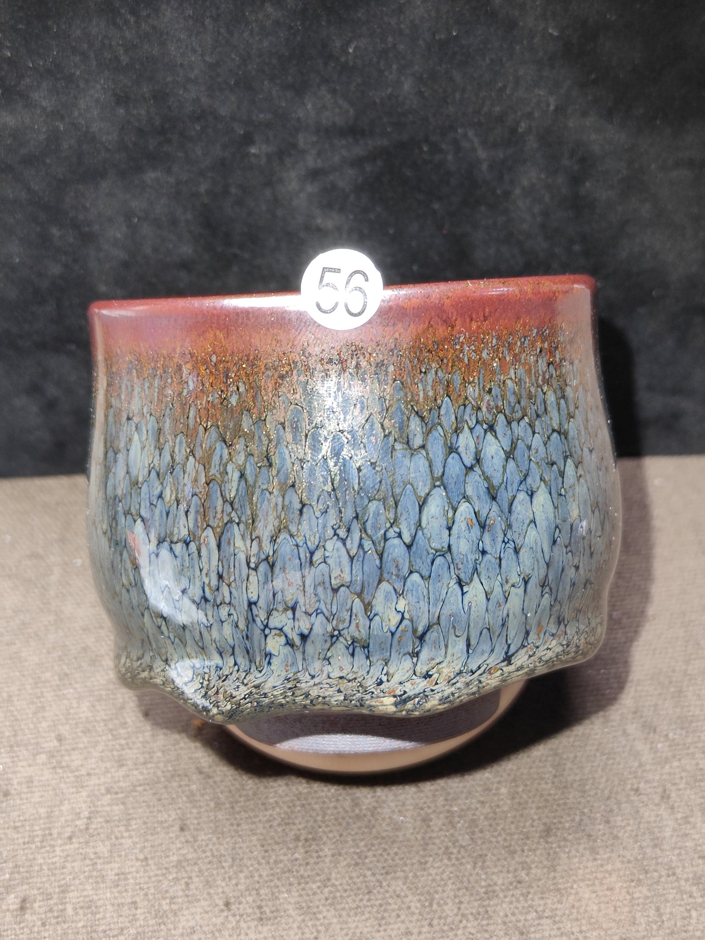 2025-6-10 Master Sun